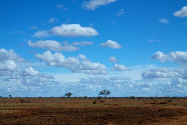 alt=Long horizons in Tsavo East