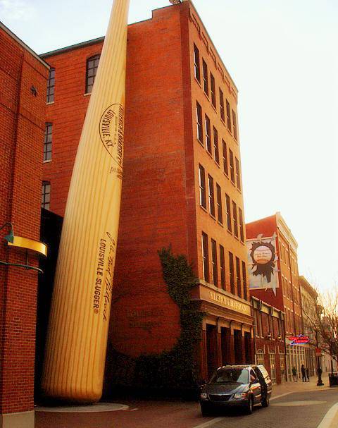 The world's largest bat!