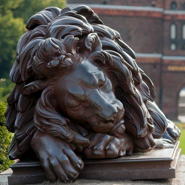 A sleeping lion at Holstentor