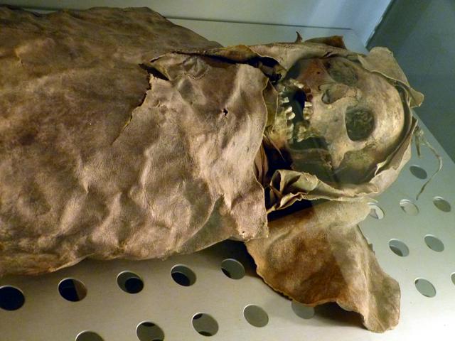 A Guanche mummy found in the Barranco de Badajoz ravine.