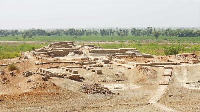 Unexcavated part of the Mohenjo-daro 