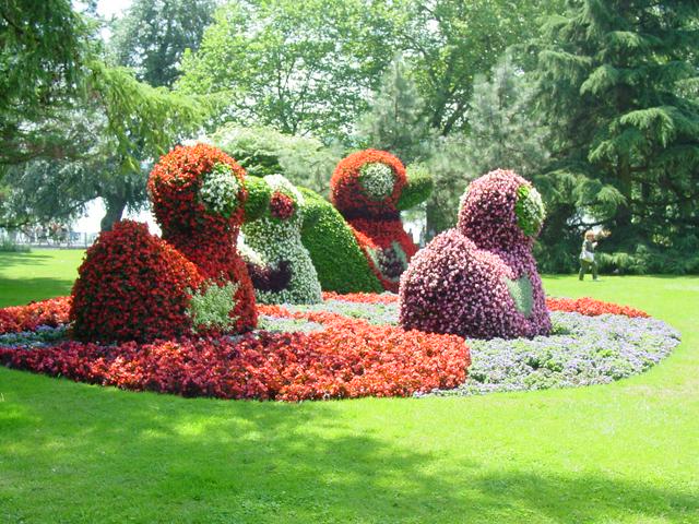 Mainau flowers