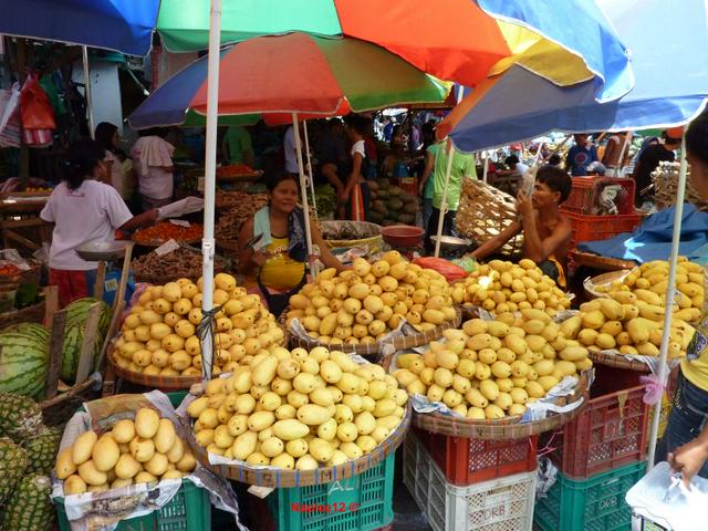 Mangos in Carbon market