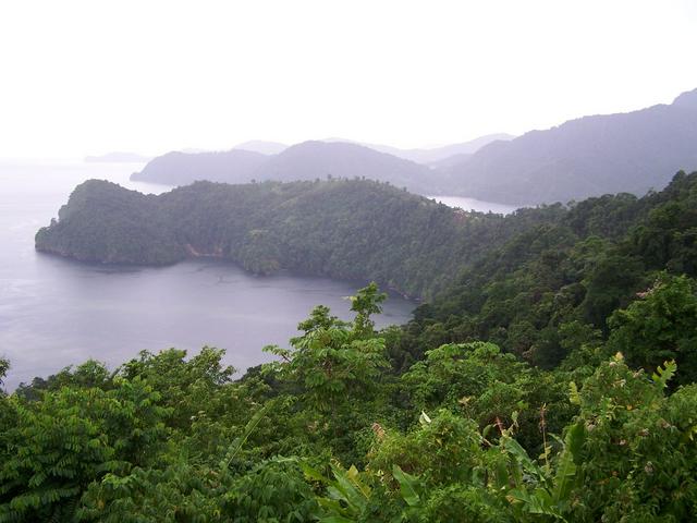 Overview of Maracas Bay