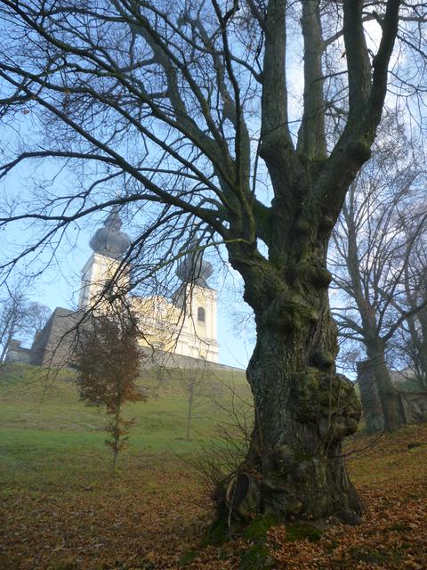 Wallfahrtskirche Maria Taferl