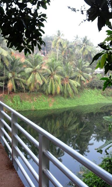 Nochikkad Bridge, Mavoor