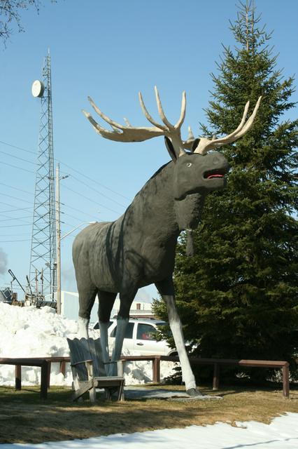 Max the moose towers 18 feet