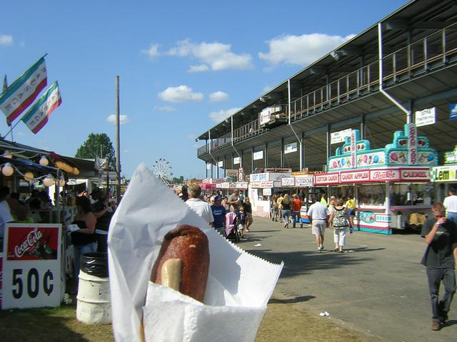 Medina County Fair