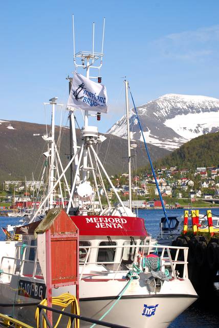 Fishing boat in port