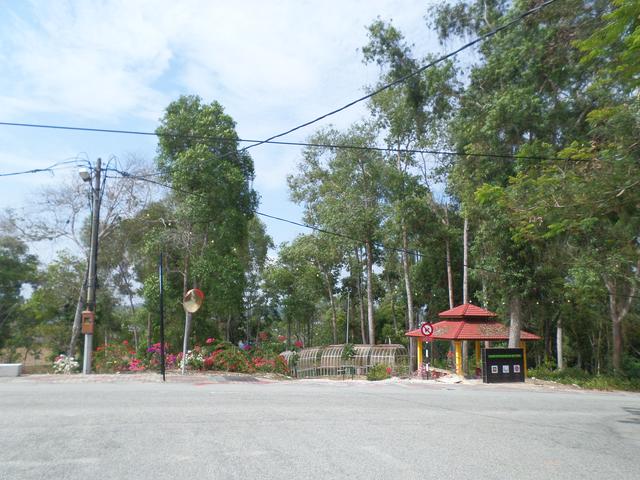 Mersing Town Forest Park