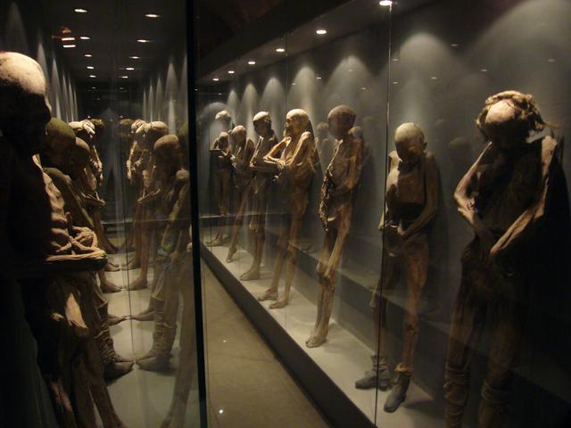 Museum of the Mummies