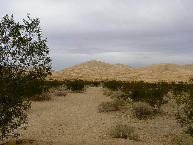 The massive Kelso Dune complex, home of the singing sand dunes