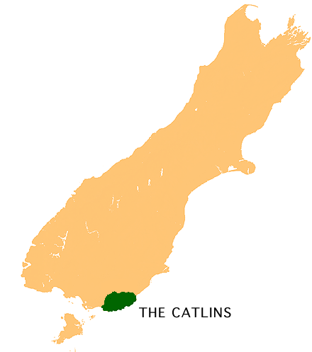 The Catlins is the southernmost part of the South Island.