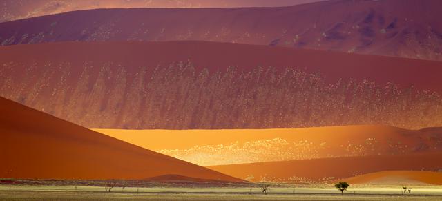 Sand dunes in the Namib-Naukluft National Park