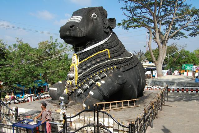 The holy bull Nandi at the Bull Temple