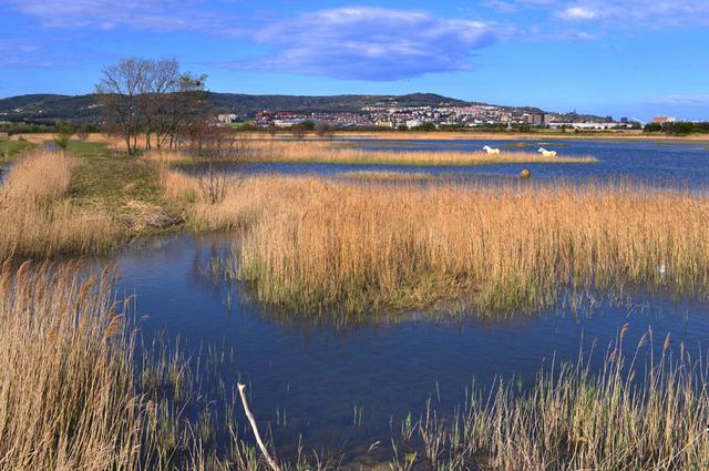 Škocjanski zatok Natural park
