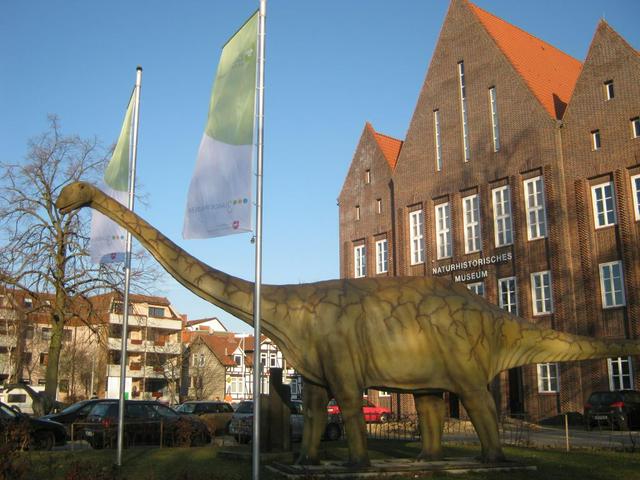 Museum of Natural History