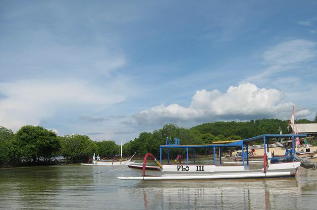 Traditional jukung outrigger in the mangroves