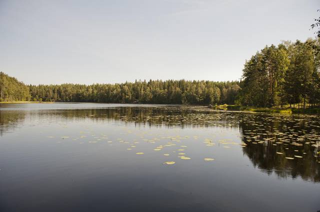 Nuuksio National Forest Park in Espoo, Finland