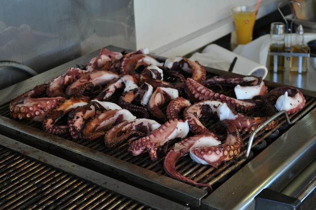 Octopus for ever