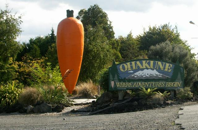 The World's Largest Carrot