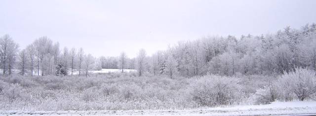 January in Ohio - 22 Degrees