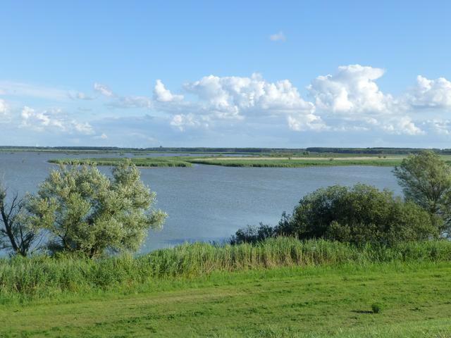 The wetlands in the Oostvaardersplassen seen from the Oostvaardersdijk, which separates it from the Ijsselmeer