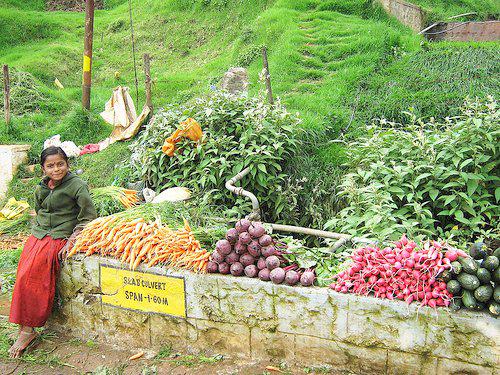 South Indians are warm and friendly