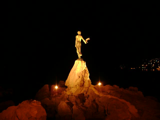 Maiden with the seagull at night