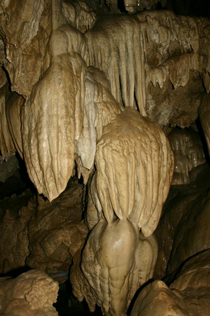 "Banana Grove" flowstone in Oregon Caves National Monument