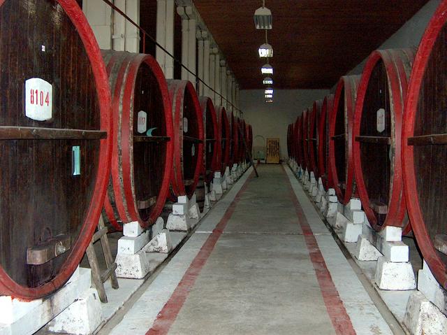 Wine cellar at the Oriahovica winery