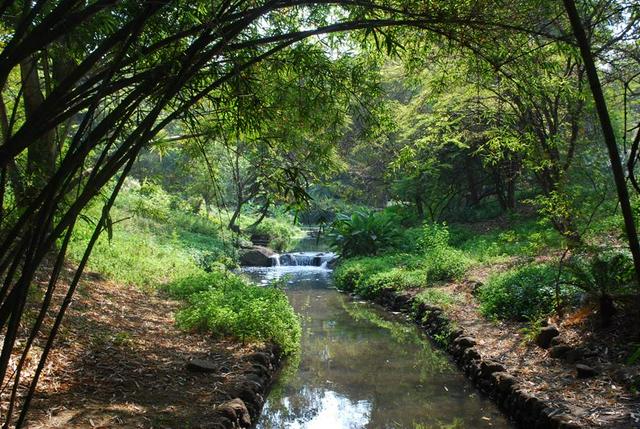 Osho Garden, Pune