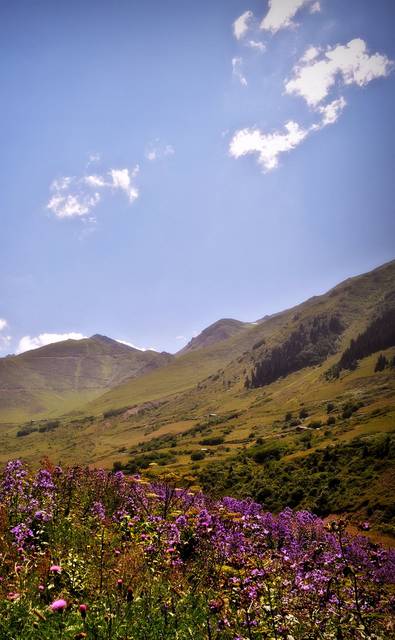 Ovit Plateau, Ikizdere, Rize province