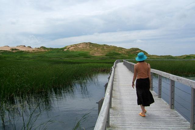 Sand dunes and boardwalk