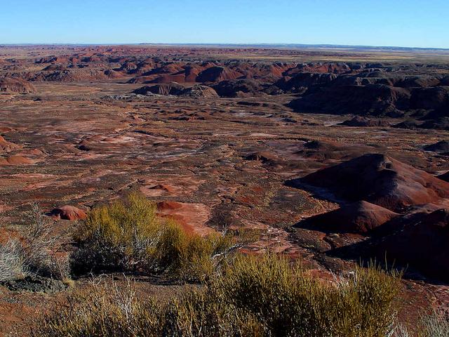 Painted Desert
