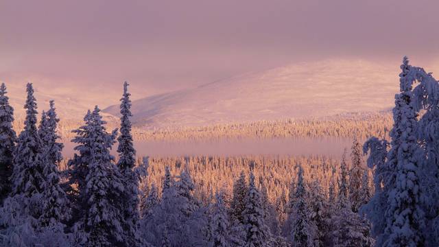 Pallas-Yllästunturi National Park