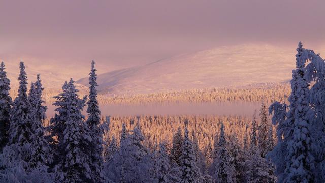 Pallas hill at dawn