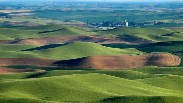 Palouse hills northeast of Walla Walla, Washington's wine country