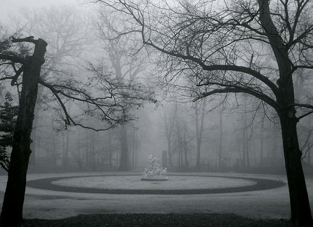 A beautiful scene in the Parco Ducale