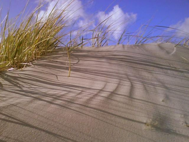 Sand dunes in Pärnu