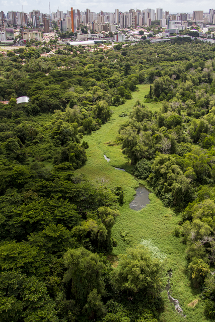 Parque do Coco