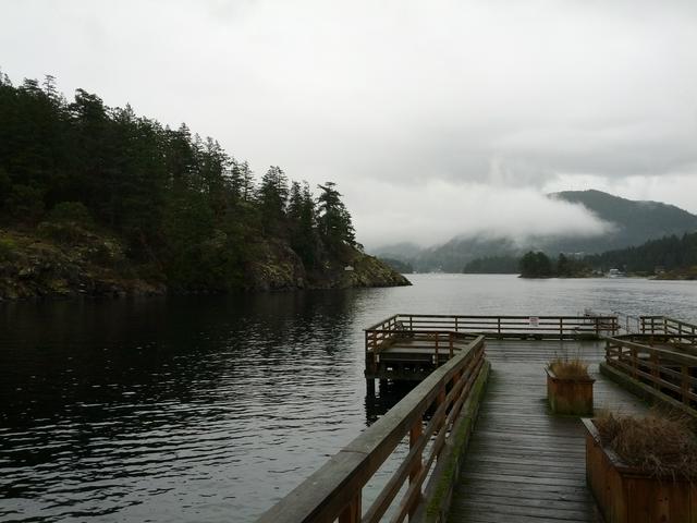 View of a portion of Pender Harbour from the shore at Irvine's Landing