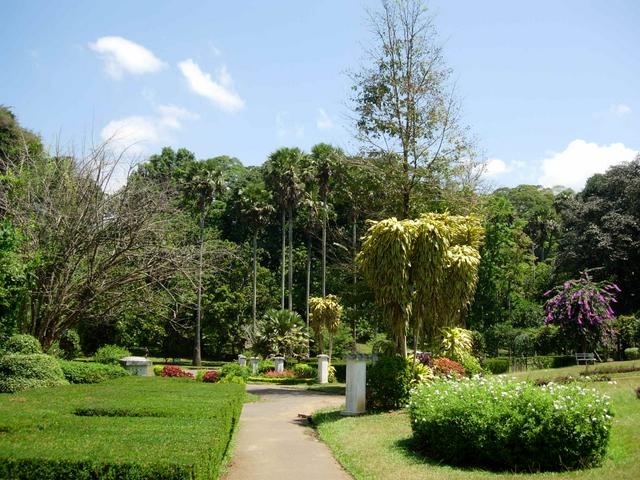 Peradeniya Botanical Gardens