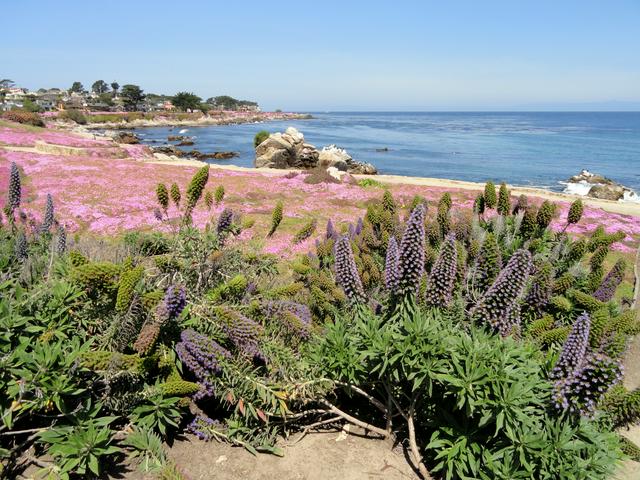 Perkins Park along the Pacific Coast