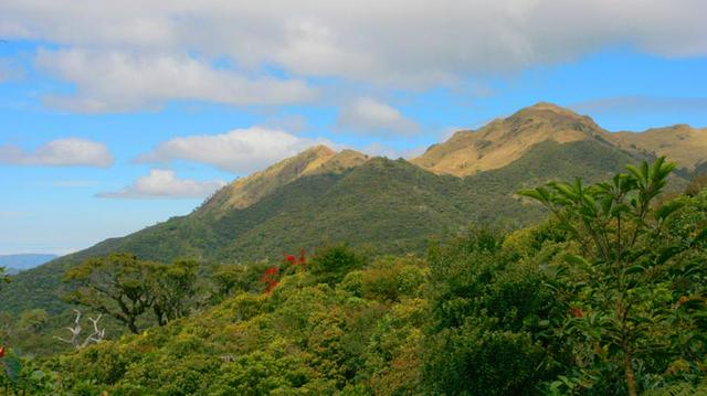 Mt. Pulag