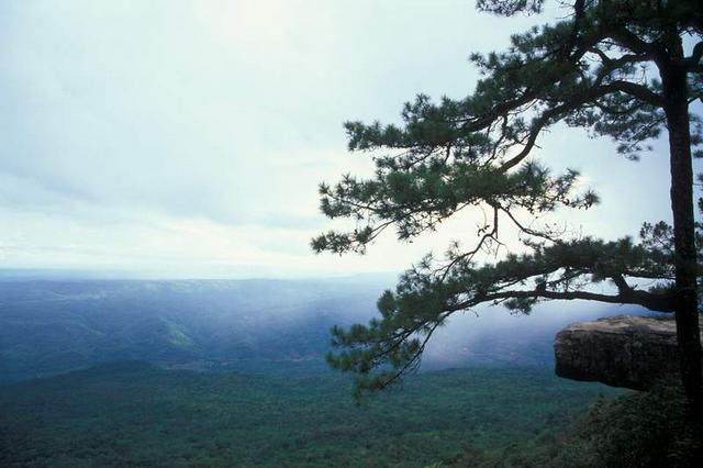 Pha Lom Sak is not is Lom Sak. It is in Phu Kradueng National Park in neighbouring Loei Province, a couple of hours out of Lom Sak.