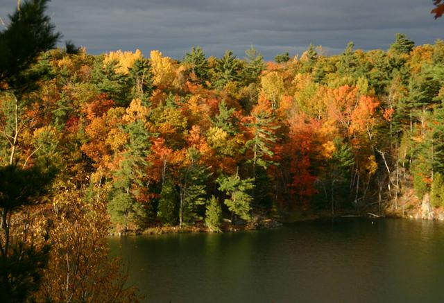 Pink Lake in October