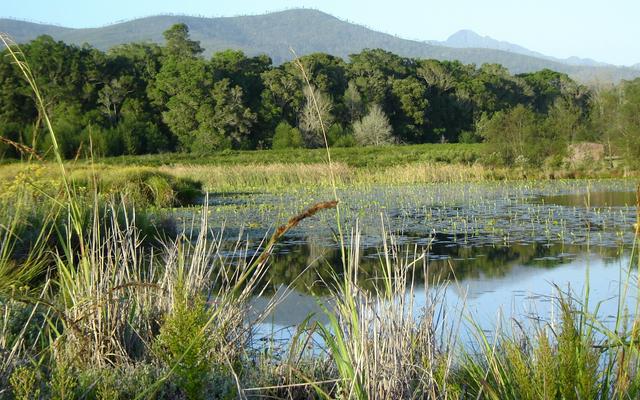 Platbos Reserve by Bass Lake