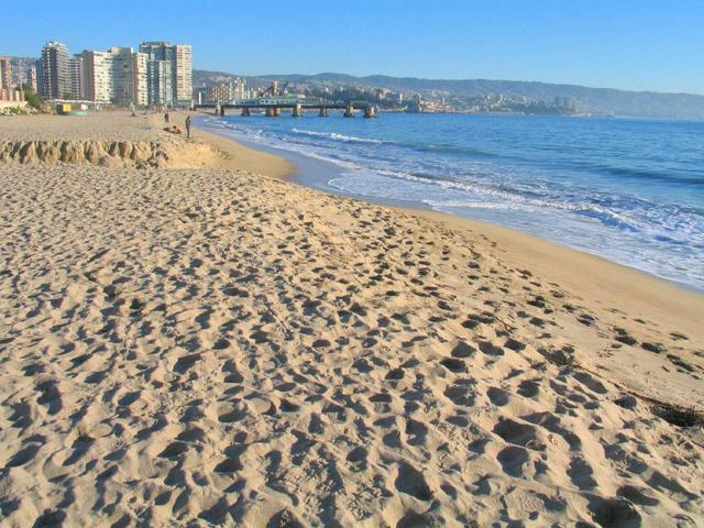 A view of the beach at Viña del Mar