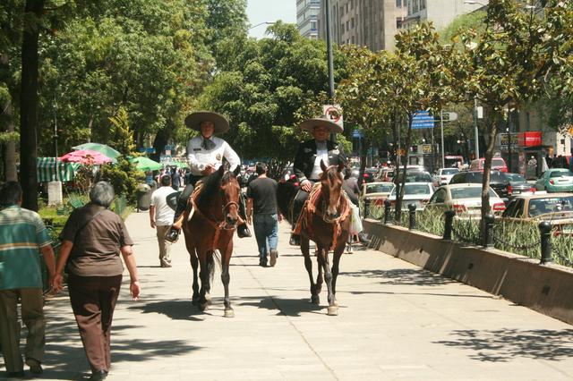 Mounted tourist police, Mexico City